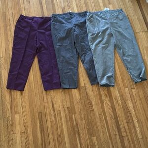 New Set of Three Pants in Purple, Gray, and Light Gray